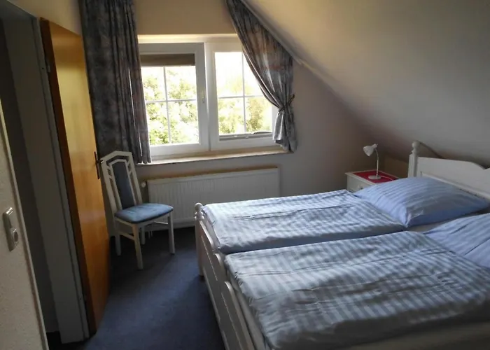 Sandrose * نورديش